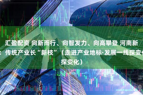 汇盈配资 向新而行、向智发力、向高攀登 河南新乡：传统产业长“新枝”（走进产业地标·发展一线探变化）