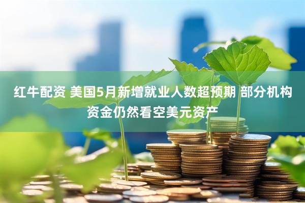 红牛配资 美国5月新增就业人数超预期 部分机构资金仍然看空美元资产