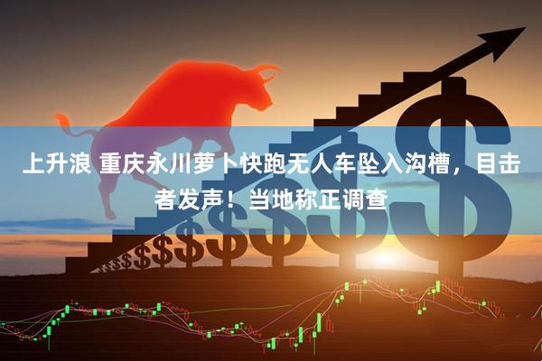 上升浪 重庆永川萝卜快跑无人车坠入沟槽，目击者发声！当地称正调查