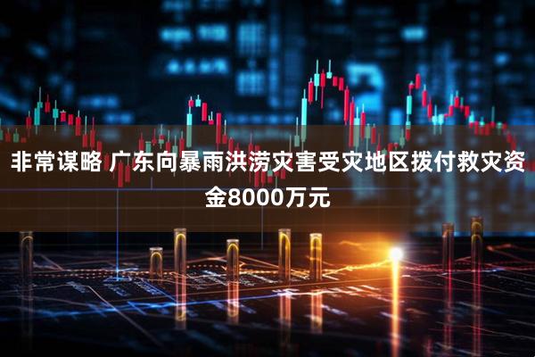 非常谋略 广东向暴雨洪涝灾害受灾地区拨付救灾资金8000万元