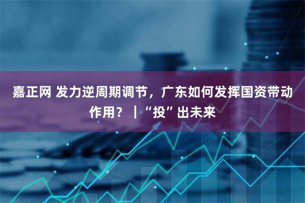 嘉正网 发力逆周期调节，广东如何发挥国资带动作用？｜“投”出未来