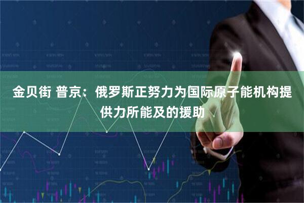 金贝街 普京：俄罗斯正努力为国际原子能机构提供力所能及的援助