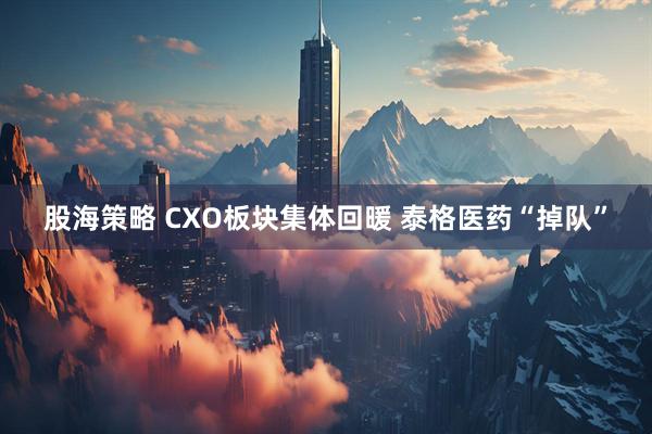 股海策略 CXO板块集体回暖 泰格医药“掉队”