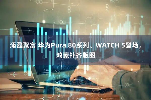 添盈聚富 华为Pura 80系列、WATCH 5登场,鸿蒙补齐版图
