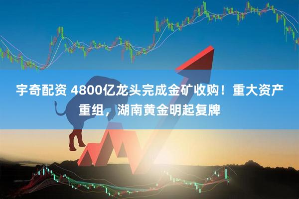 宇奇配资 4800亿龙头完成金矿收购！重大资产重组，湖南黄金明起复牌